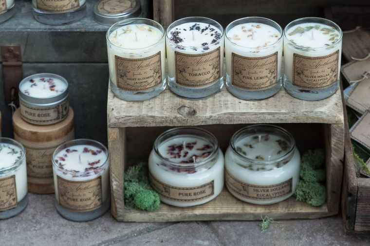 Silver-Dollar Eucalyptus Botanical Candle-Candle-Wax Apothecary-Max & Riley